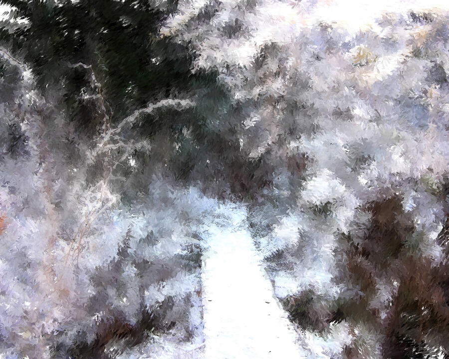 Snowy Path