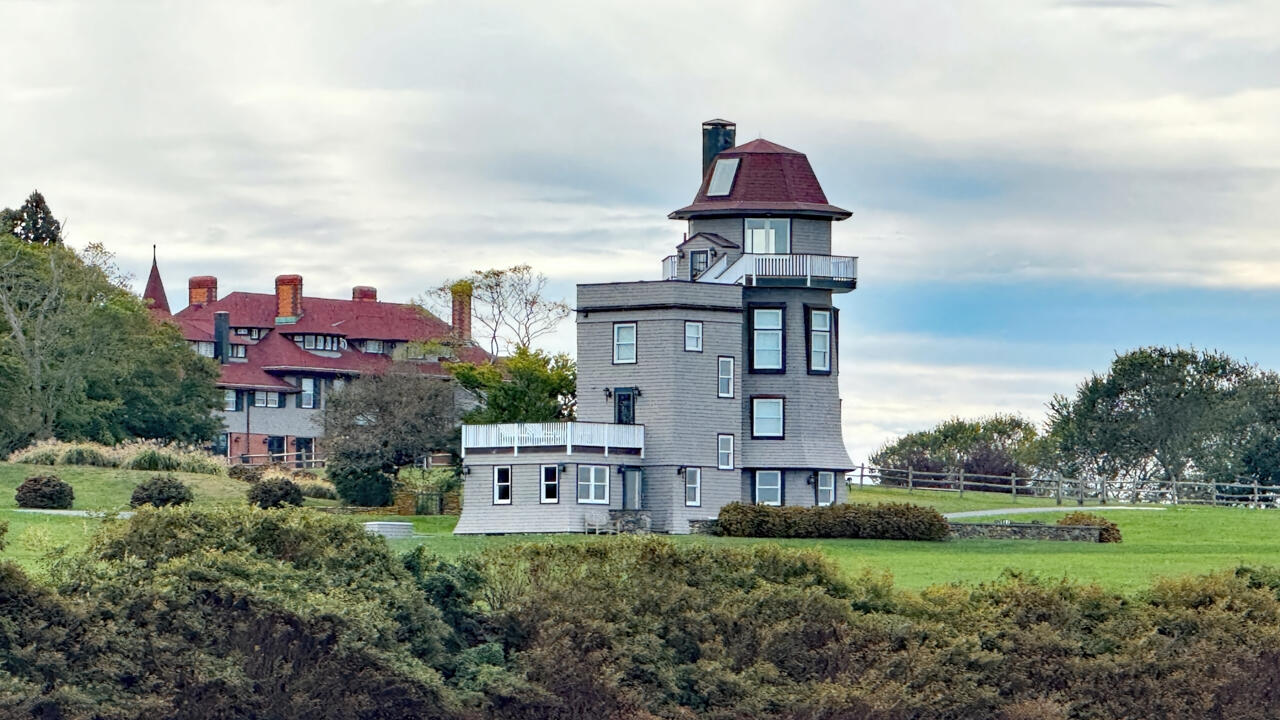 Tall Birch on the Shoreline