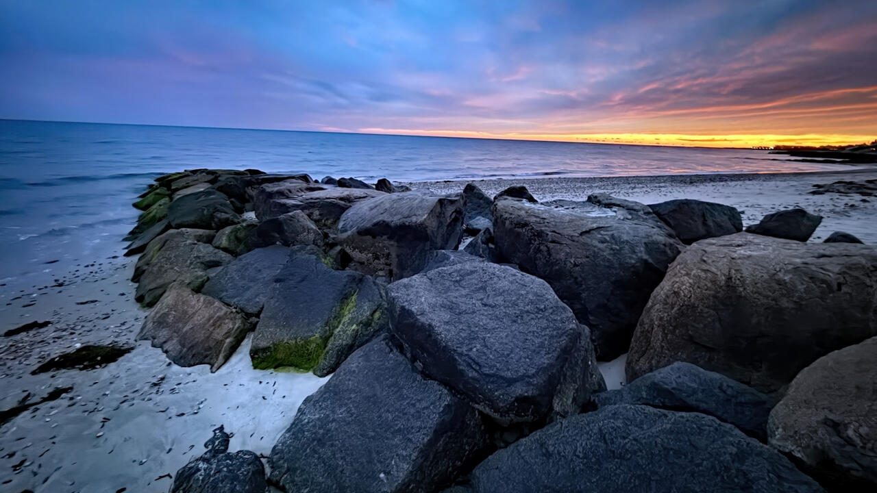 Evergreens on the Shore